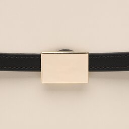 

Сумка Gino Rossi Carlotta CS6434 Black, Бежевий