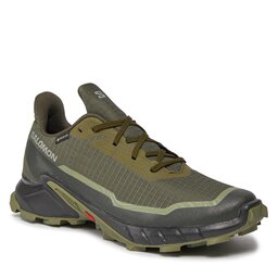 Salomon Schuhe Salomon Alphacross 5 Gtx GORE-TEX 473103 29 W0 Olive Night/Black/Deep Lichen Green