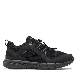 ECCO Trekkingi ECCO Terracruise II W GORE-TEX 84306351052 Czarny