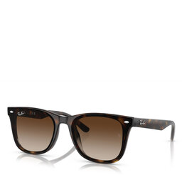 Ray-Ban Solglasögon Ray-Ban 0RB4420 Havana 710/13
