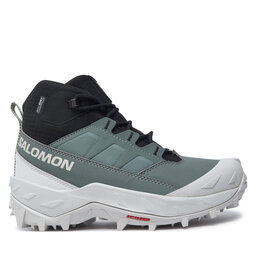 Salomon Pārgājienu apavi Salomon Crosstrak Waterproof L47570400 Zaļš