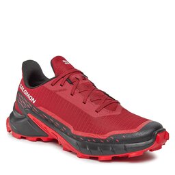 Salomon Boty Salomon Alphacross 5 473132 27 V0 Red