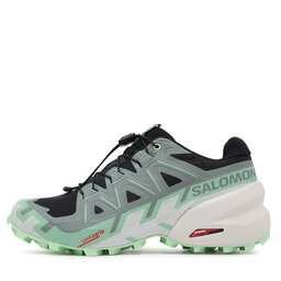 

Взуття Salomon Speedcross 6 L47301300 Black/Laurel Wreath/Green Ash, Чорний