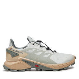 Salomon Pantofi pentru alergare Salomon Supercross 4 Gore-Tex L47594300 Gri