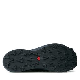 

Взуття Salomon Thundercross GORE-TEX L47383100 Flint Stone/Carbon/Orange Pepper, Голубий