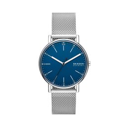Skagen Zegarek Skagen Signatur SKW6904 Silver/Silver