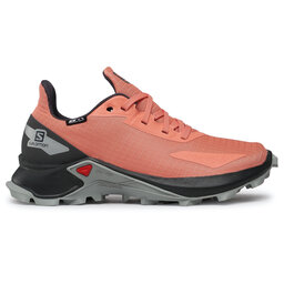 

Трекінгові черевики Salomon Alphacross Blast Cswp J 411227 12 0V Burnt Coral/Ebony/Quarry, Оранжевий