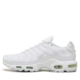 

Взуття Nike Air Max Plus AJ2029 100 White/White/White, Білий