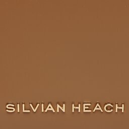 

Сумка Silvian Heach RCP23052BO Brown, Коричневий