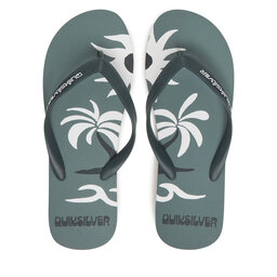 Quiksilver Žabky Quiksilver Molokai Screen AQYL101427 Zelená