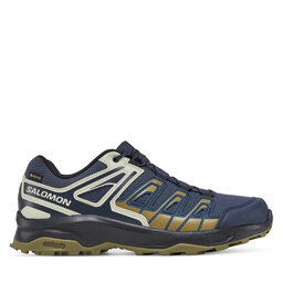 Salomon Trekkingschuhe Salomon Extegra Gore-Tex L47799800 Grau