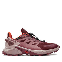 Salomon Pantofi pentru alergare Salomon Supercross 4 Gore-Tex L47594500 Violet