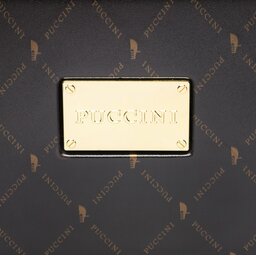 

Кейс Puccini ABSQM023 6, Коричневий