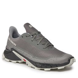 Salomon Pantofi Salomon Alphacross 5 473133 29 W0 Pewter/Black/Ghost Gray