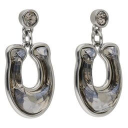 Coach Örhängen Coach Fct Crysl Drp Ear CG137 Silver SLV