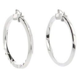 

Сережки Guess, Срібний