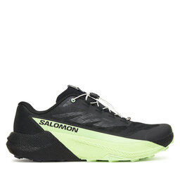 Salomon Παπούτσια για Τρέξιμο Salomon Pulsar L47887800 Μαύρο