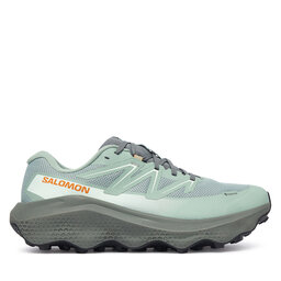 Salomon Взуття для бігу Salomon Ultra Flow 2 Gtx GORE-TEX L45473900 Зелений