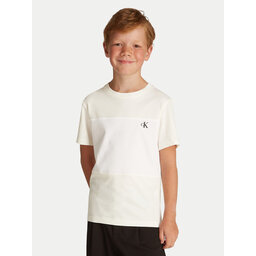 Calvin Klein Jeans Calvin Klein Jeans 2er-Set T-Shirts Color Block IB0IB02441 Bunt Regular Fit
