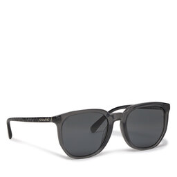 Coach Sluneční brýle Coach 0HC8384U Transparent Dark Grey 579387