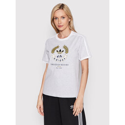 adidas adidas Marškinėliai Graphic HL6554 Pilka Loose Fit