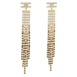Elisabetta Franchi Örhängen Elisabetta Franchi OR-29M-32E2-V200 Tortora 390
