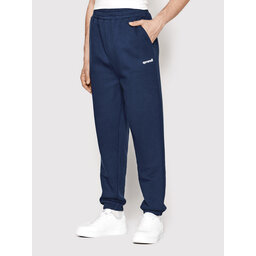 Sprandi Sportinės kelnės Sprandi SP22-SJM002 Navy