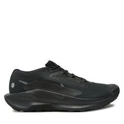 Nike Běžecké boty Nike Pegasus Trail 5 Gtx GORE-TEX FQ0908 002 Černá