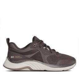 Under Armour Topánky do posilňovne Under Armour UA W HOVR Omnia 3025054-108 Hnedá