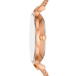 

Годинник Skagen Anita SKW3107 Gold/Gold, Золотий