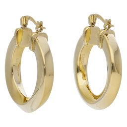 

Сережки Guess, Золотий