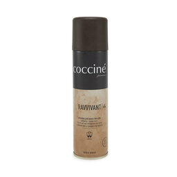 Coccine Atjaunošanas līdzeklis Coccine Ravvivant 55/59/250/01C Bezbarwny