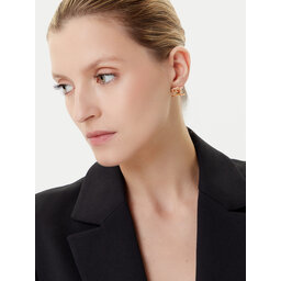 Elisabetta Franchi Naušnice Elisabetta Franchi OR-02A-56E2-240 Zlatna
