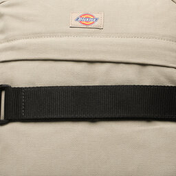 

Рюкзак Dickies Canvas Backpack DK0A4XF9DS01 Desert DS0, Бежевий