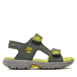 Timberland Sandále Timberland Moss Jump 2 Strap Sandal TB0A68RHL951 Kaki