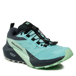 Salomon Scarpe Salomon Sense Ride 5 Gore-Tex L47216000 Blue Radiance/Green Ash/India Ink