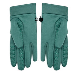 

Чоловічі рукавички The North Face Tnf Rino GloveNF0A55KZI0F1 Dark Sage, Зелений