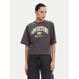 PINKO PINKO T-Shirt Niamey 104604 A2CS Grau Regular Fit