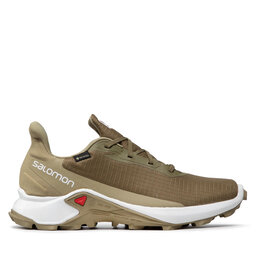 

Взуття Salomon Alphacross 3 Gtx GORE-TEX 414468 26 V0 Kangaroo/White/Kelp, Коричневий