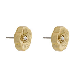 Coach Auskarai Coach 37527562 Auksinė