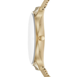 

Годинник Skagen, Золотий