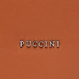 

Рюкзак Puccini BML029 2B, Коричневий