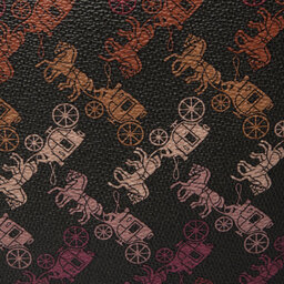 

Сумка Coach Hc Cc Fld Tot 89143 V5PUW Multi Black, Чорний