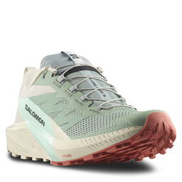 Salomon Schuhe Salomon Sense Ride 5 L47211700 Lily Pad/Rainy Day/Bleached Aqua