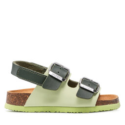 

Босоніжки Scholl Turtle F29819 1043 240 Olive, Зелений