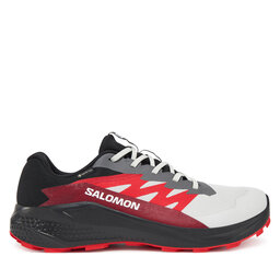 Salomon Scarpe running Salomon Alphaglide Gore-Tex L47802200 Grigio