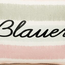 

Сумка Blauer S3CARAMEL06/SAN Righe, Кольоровий