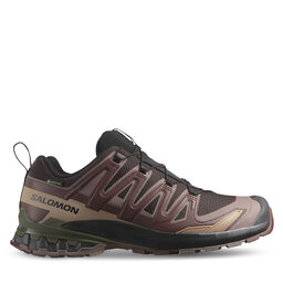 Salomon Pantofi pentru alergare Salomon Xa Pro 3D V9 Gore-Tex L47583500 Maro