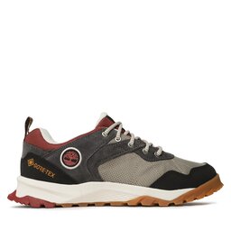 Timberland Sneakers Timberland Lincoln Peak Low GTXTB0A5PT31101 Grau
