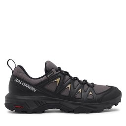 Salomon Αθλητικά Salomon X Braze GORE-TEX L47180500 Γκρι